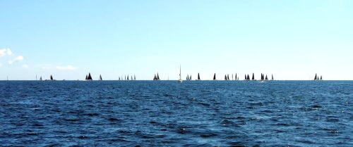 2024 sea