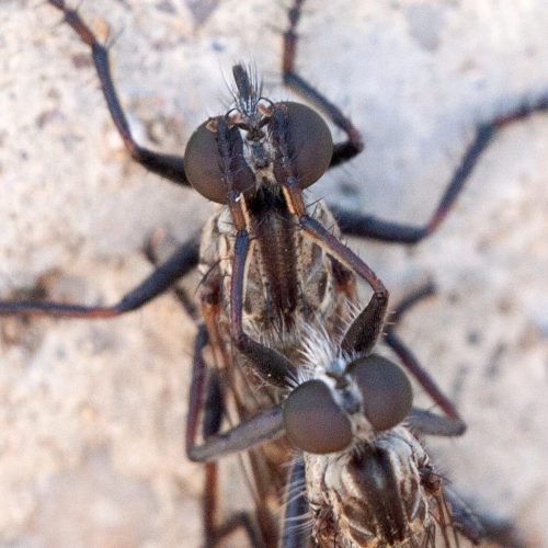 SaveClip.App 655749095 18316926949249183 8147899058457092561 n